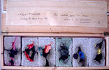 textes manuscrits à l'encre noire indélébile sur six petits pans de (…)